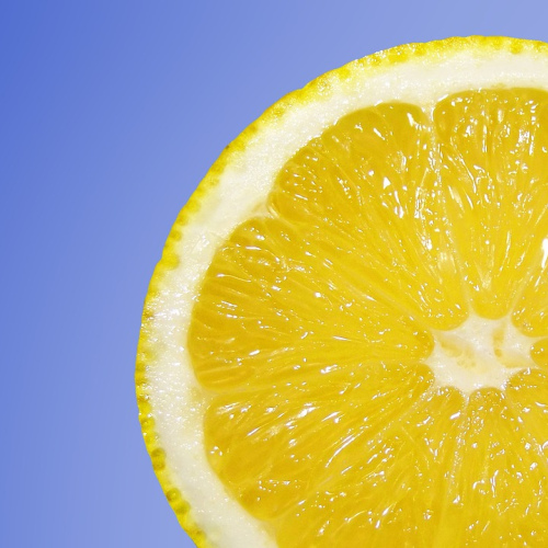 Citrus Grove Exfoliating Bar
